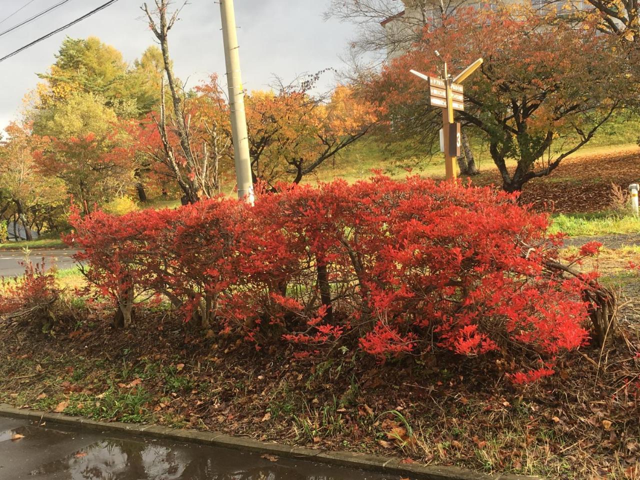 温泉ゲストハウス やすもり 本館 Hachimantai  Exterior foto